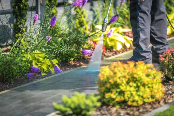 Best Sidewalk and Walkway Cleaning  in Laurens, IA
