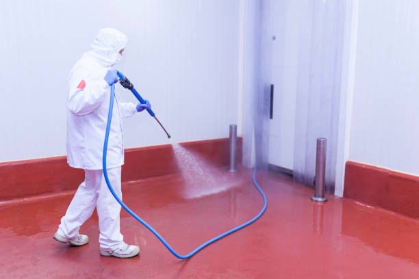 Best Post-Construction Pressure Washing  in Laurens, IA